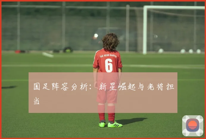 国足阵容分析:新星崛起与老将担当