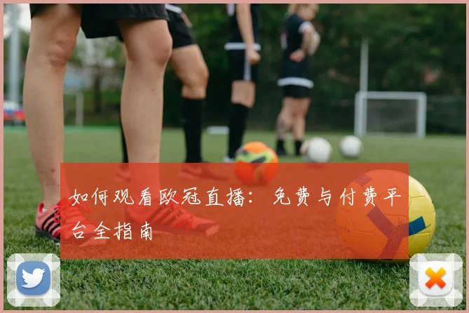 如何观看欧冠直播：免费与付费平台全指南
